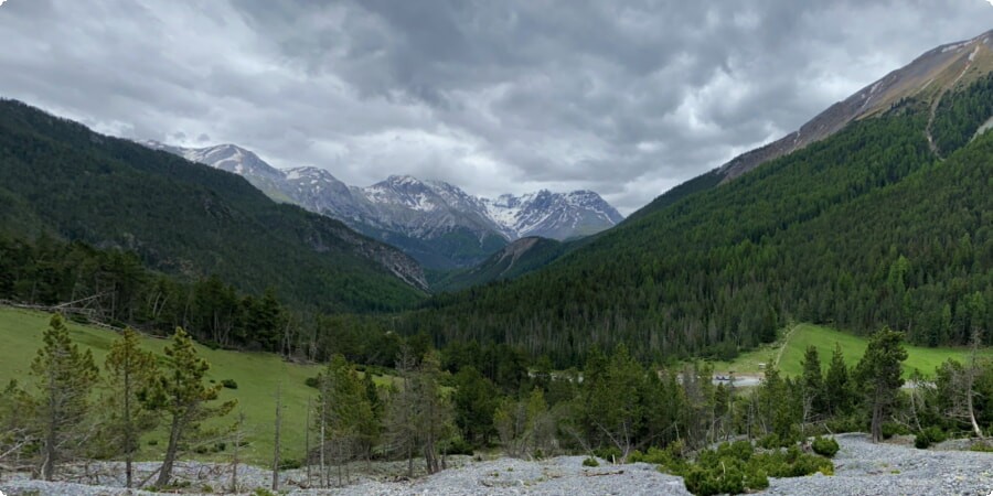 À la découverte de la nature sauvage : le parc national suisse dévoilé